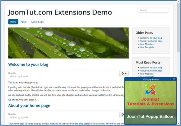 JT Popup Balloon Pro Display Image With Toolbar Demo JT Popup Balloon Pro Display Image With Toolbar Demo